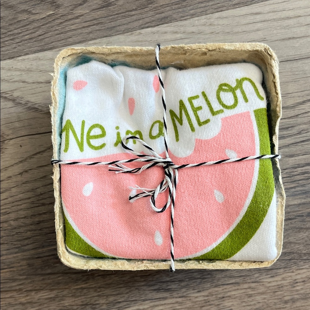 One in a Melon watermelon onesie